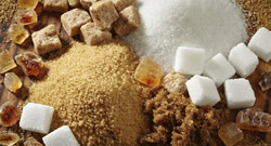 Agriculture & Forestry