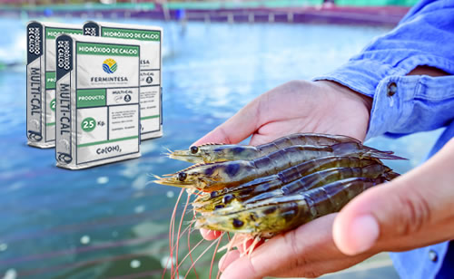 Hidróxido de Calcio Acuicola  Fermintesa