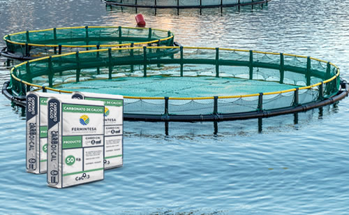 Carbonato de Calcio Acuicola  Fermintesa