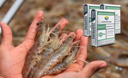 Zeolita Natural Acuicola  Fermintesa