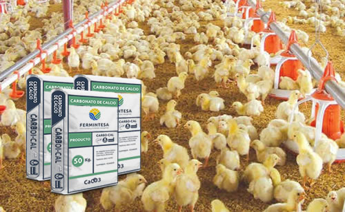 Carbonato de Calcio Agricola  Fermintesa