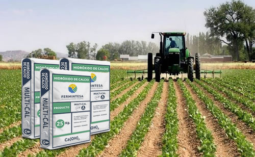Hidróxido de Calcio Agricola  Fermintesa