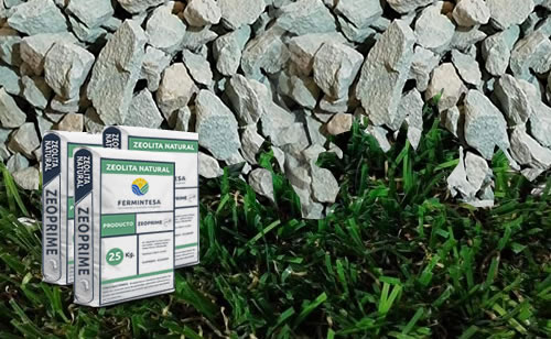 Zeolita Natural Agricola  Fermintesa