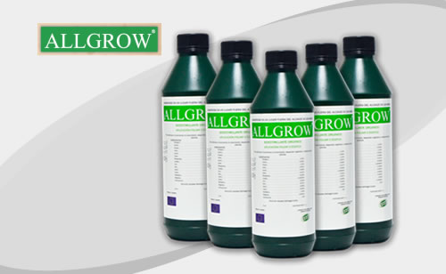 ALLGROW Fermintesa