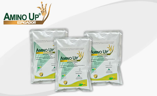 AMINO UP Fermintesa