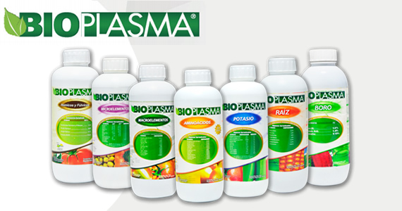 BIO PLASMA Fermintesa