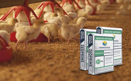 Zeolita Natural Industrial  Fermintesa