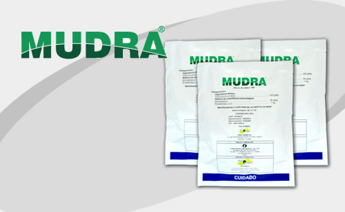 MUDRA  Fermintesa