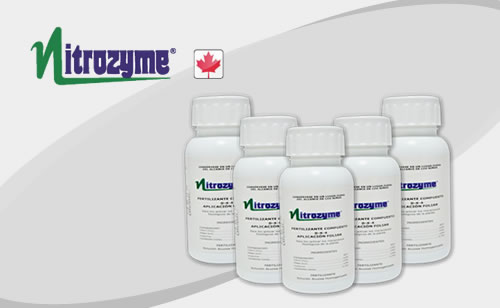 NITROZYME  Fermintesa