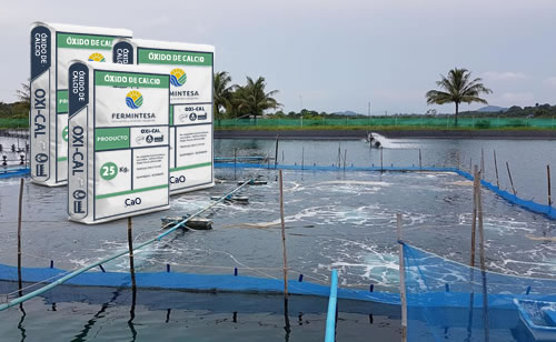 Oxido de Calcio Acuicola  Fermintesa