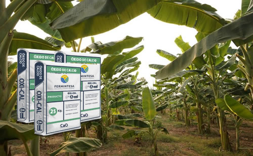 OXIDO DE CALCIO AGRICOLA Fermintesa